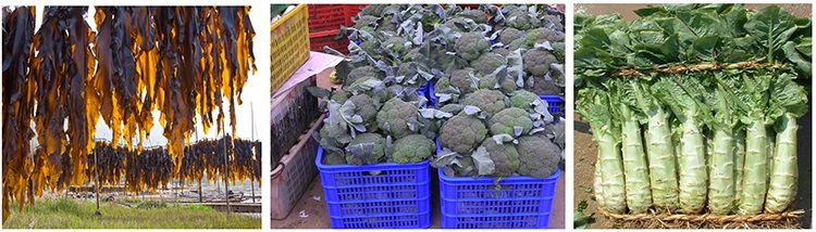 &#31859;&#20848;&#119;&#101;&#98;&#29256;&#30331;&#24405;&#20837;&#21475;&#45;&#31859;&#20848;&#65288;&#20013;&#22269;&#65289;
